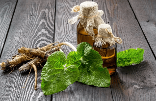 A decoction of the roots of burdock